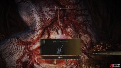 Dark Moon Greatsword.jpg