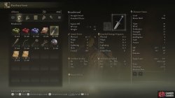 Broadsword Elden Ring Stats.jpg