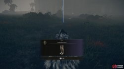 Scaled Greaves.jpg