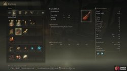 ER Exalted Flesh Inventory.jpg