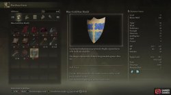 Blue_Gold Kite Shield Info.jpg