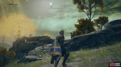 blue_gold_kite_shield_modelling.jpg