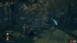 Demi_Human Queen Fight 2.jpg