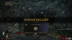 Viridian Amber Medallion.jpg