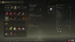 ER Slumbering Egg Inventory.jpg