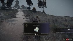 Opaline Hardtear.jpg