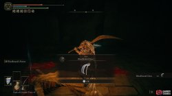 Bloodhound Claws.jpg