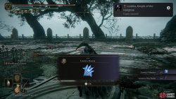Lorettas_Mastery.jpg