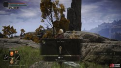 As You Wish emote.jpg