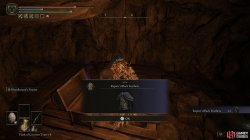 Raptors Black Feathers.jpg