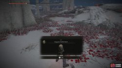 Sanguine_Noble_Set.jpg