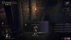 Royal Remains Armor Obtained.jpg