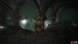 Leyndell_Catacombs_4_Elden_Ring.jpg