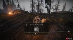 Ash of War Through and Through.jpg