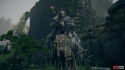 blaidd mistwood ruins-100aff69.jpg