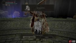 blaidd summoning sign bloodhound knight darriwil-8c830f13.jpg