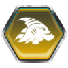 Trophy/Achievement Icon