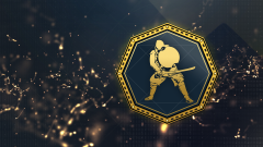 Trophy/Achievement Icon