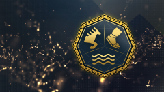 Trophy/Achievement Icon