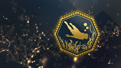 Trophy/Achievement Icon