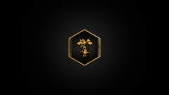 Trophy/Achievement Icon