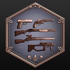 Trophy/Achievement Icon