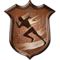 Trophy/Achievement Icon