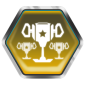 Trophy/Achievement Icon