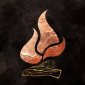 Trophy/Achievement Icon