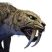Category icon