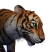 Category icon