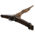 Category icon