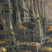 Category icon