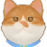 Category icon