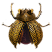 Category icon