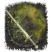 Category icon