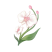 Category icon