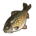 Category icon