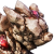 "Blood Crystal Rocknose" icon