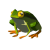 "Hot-Footed Frog" icon