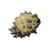 "Moblin Horn" icon