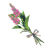 "Warm Safflina" icon