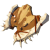 "Dragonbone Boko Shield" icon