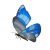 "Winterwing Butterfly" icon