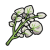 "Salty Herba Mystica" icon