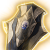 "Ketheric's Shield" icon