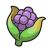 "Cornn Berry" icon
