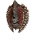 "Ruiner Shield" icon