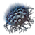 "Perception Wisp" icon