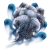 "Umbral Scouring Clump" icon
